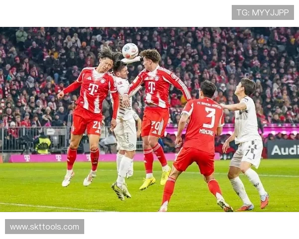 德甲目前有多少支球队参赛？最新完整数据揭晓